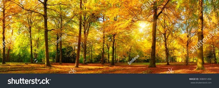 фотосетка для декора заборов