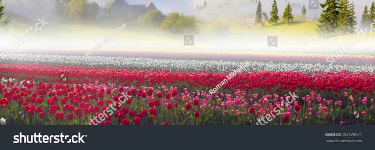 фотосетка для декора заборов