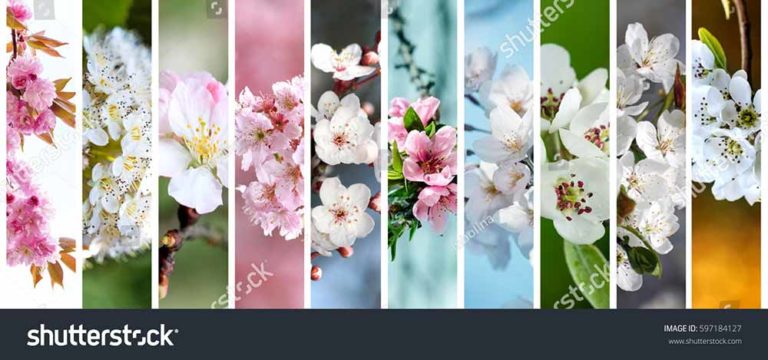 фотосетка для декора заборов